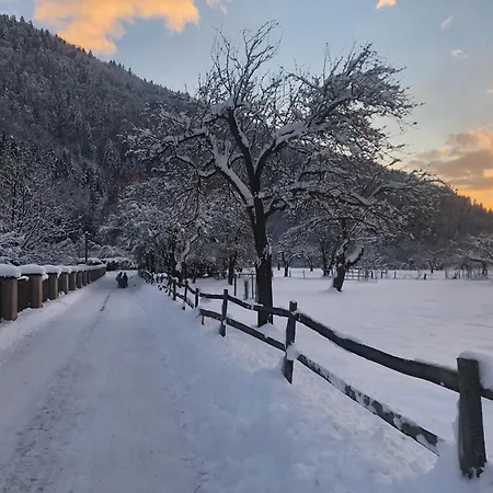 Berg & Апартаменты