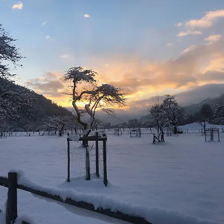 Berg & Appartement *